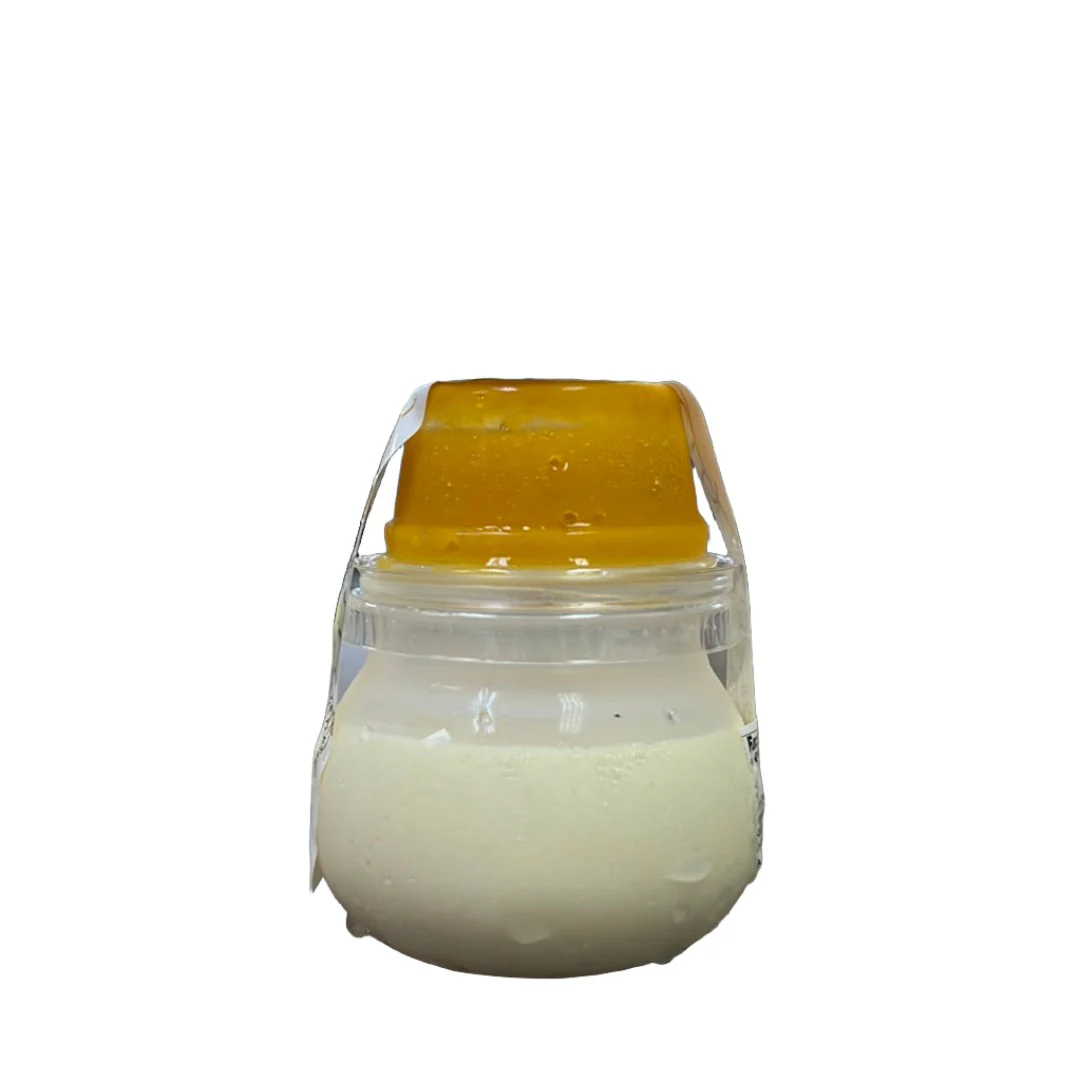 CITYLIGHTS PURIN TORORI MANGO