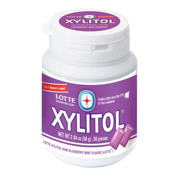 LOTTE XYLITOL BLUBERRY MINT